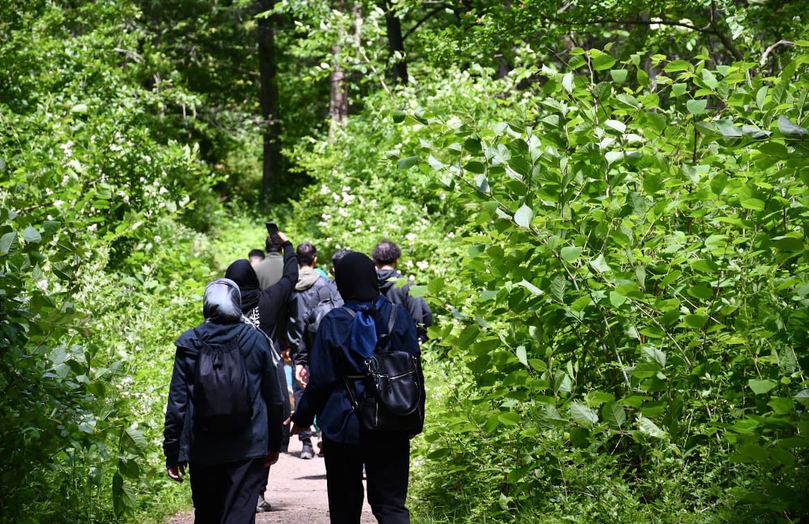 Community members walking together along a wooded trail on a group outing